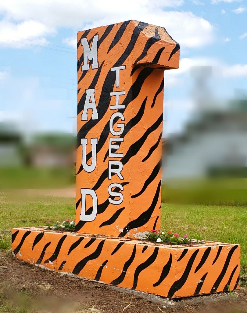 Tiger sign